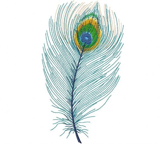 Digital Download Beautiful Peacock Feather Machine Embroidery Design in multiple formats pec, pes, xxx, jef, sew, exp, vip, vp3, dst, hus